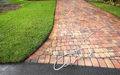 How to Maintain Your Newly Paved Driveway